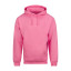 COLLEGE HOODIE